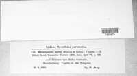 Image Associated With the Occurence